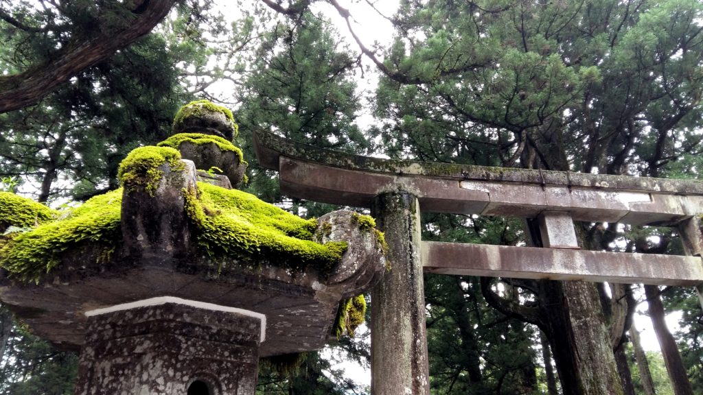 torii di pietra nikko giappone